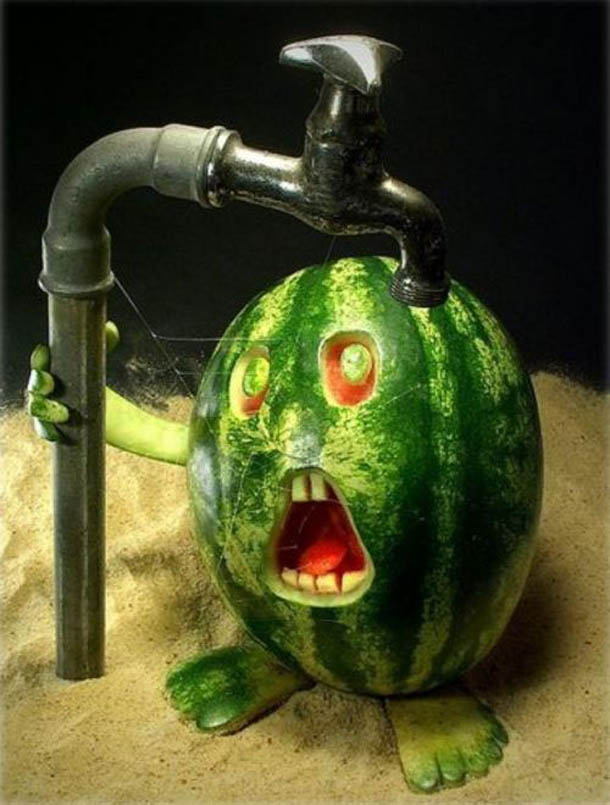   !!!!!!!!!!!!!!!!!!!! Melon-drole