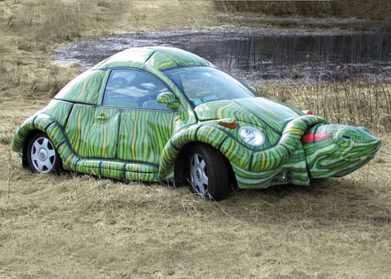 صور طريفة للغاية Auto-tortue