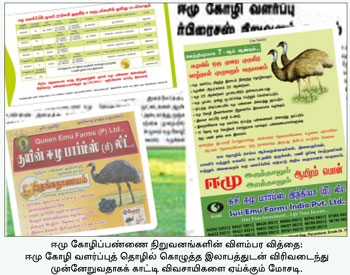 ஈமு கோழி வளர்ப்பு : கவர்ச்சிகரமான மோசடி! i Emu-2