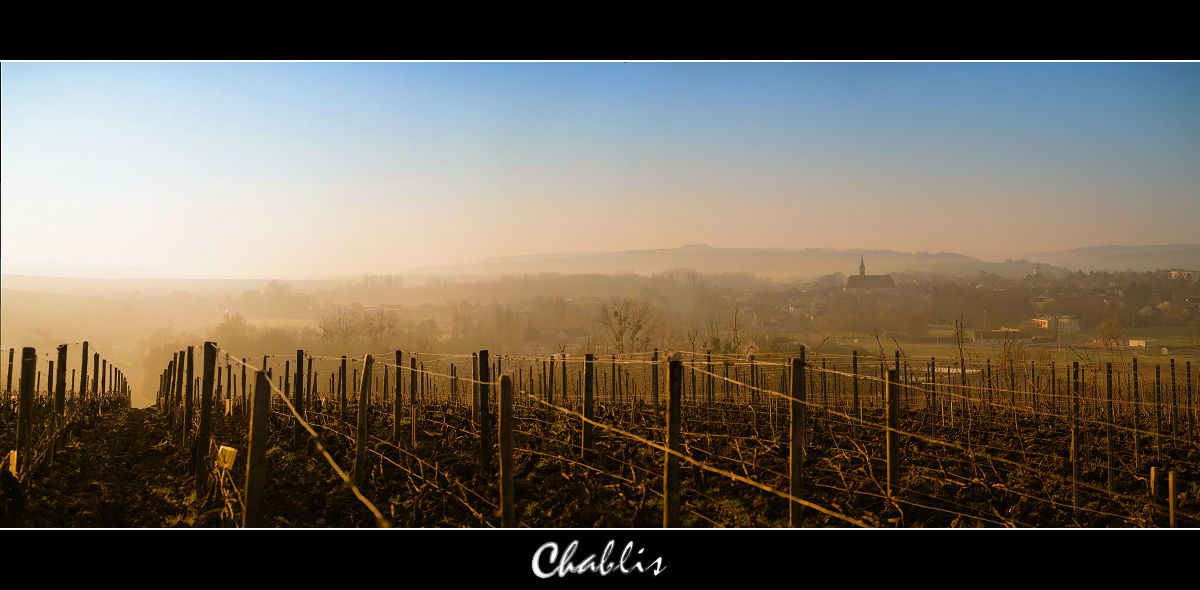 Un matin sur Chablis Chablis-web