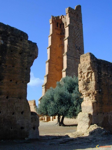 تلمسان غرناطة افريقيا Med-mansourah-a-tlemcen-1-visoterra-13083