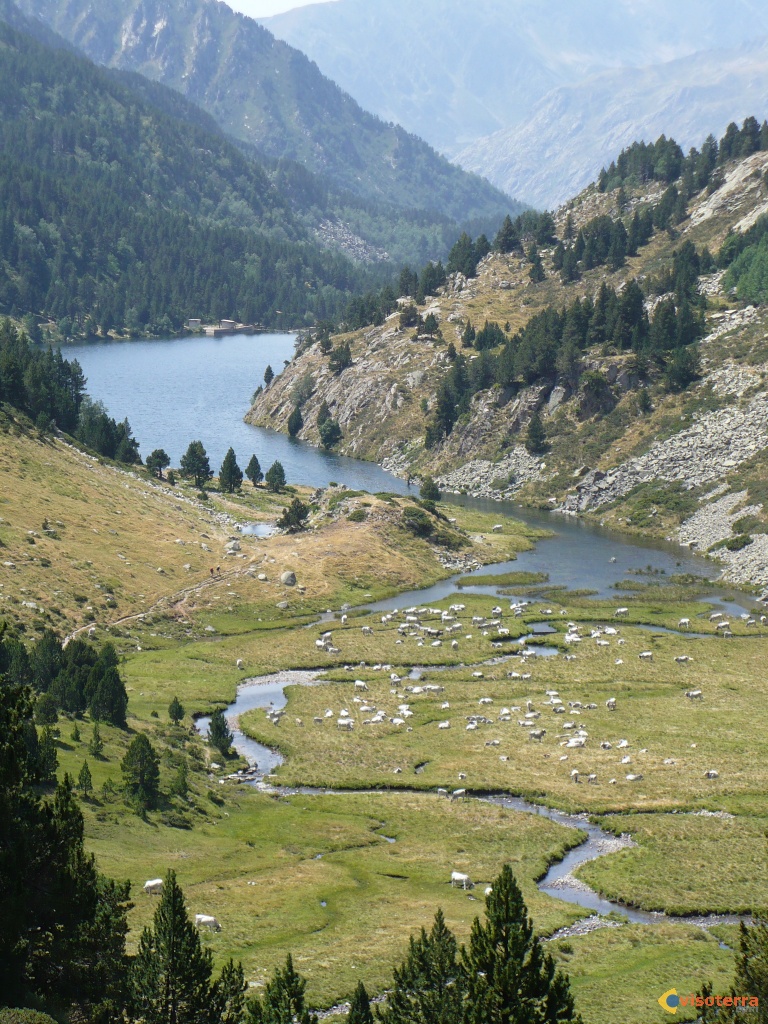 Le petit ruisseau fera t-il une grande rivière ? Le-ruisseau-visoterra-10274