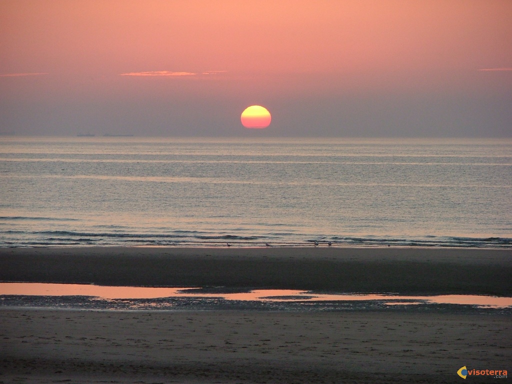 cannelle centenaire  TOULOUSAINE  !!!!!! Visoterra-le-cap-blanc-nez-presque-de-nuit-3584