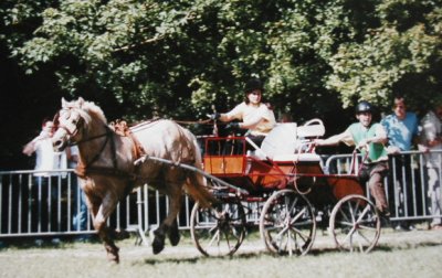 Parcours d'attelage Malab7