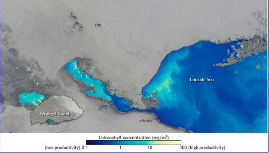  El Ártico continúa rompiendo malos récords en 2012 Mar-chukchi