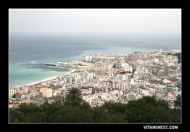 رحلة فوتوغرافية الى الجزائر العاصمة 3763-le-quartier-de-bab-el-oued-vu-de-bouzareah