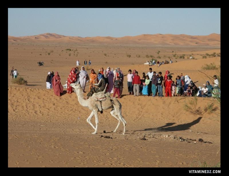 Bienvenues aux "Saouras" Bechar vous ouvre les portes 02-4547-course-de-chameaux-a-beni-abes-mouloud-mars-2007