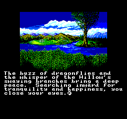 How to be an Avatar - Ultima IV SEGAMASTERSYSTEM--Ultima%204%20%20Quest%20of%20the%20Avatar_Oct6%2014_19_02