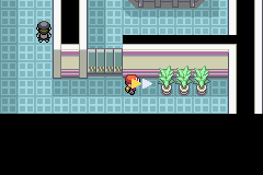 Let's Play Pokémon Fire Red! Canceled due to screenshot issues... - Page 7 GBA--Pokemon%20Fire%20Red_Apr30%2015_41_52