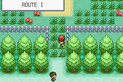 Pokemon: FireRed with your host....Lux! GBA--Pokemon%20Fire%20Red_May21%2011_54_14