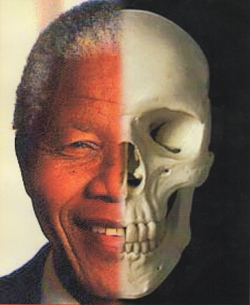 Madiba Mandela-skull