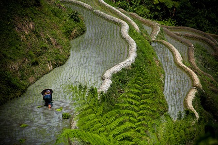 20 mejores países de Oriente Cordillera-tallada-de-filipinas-6