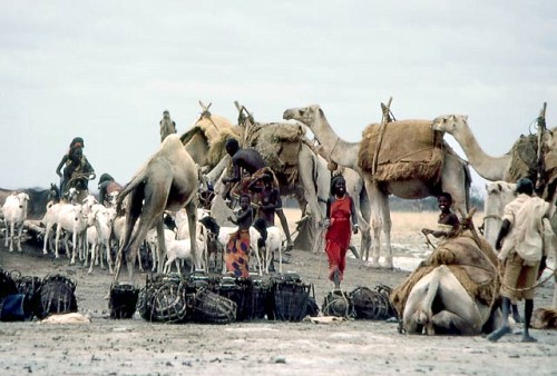 معلومات عن الجمهورية الصومالية  Somalinomad