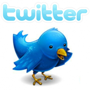 شرح ميسر لكيفية استخدام . تويتر PDF Twitter-logo1-300x300