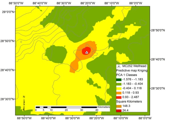 Gulf of Mexico Deep Sea May Need Decades to Recover From Oil Spill 1120image-4