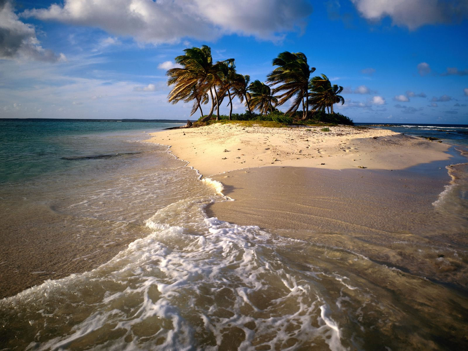 rincon - EL RINCON DE ENERI (3) - Página 16 523-paysage---plage-WallFizz