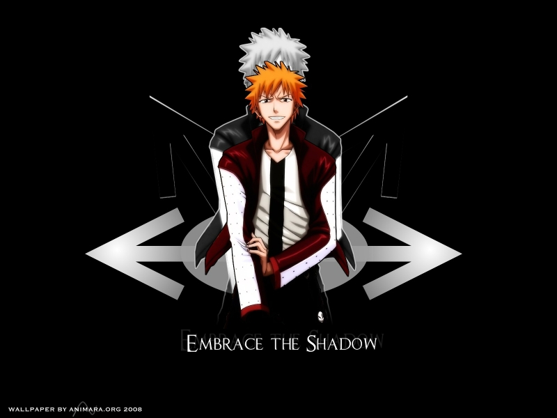 Bleach Bleach%20kurosaki%20ichigo%20anime%201600x1200%20wallpaper_www.wallpaperhi.com_43