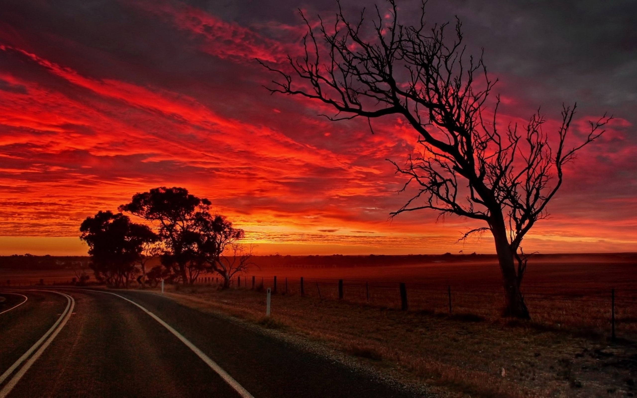 ضبابيات Sunset_clouds_landscapes_Sun_trees_roads_skies_orange_sky-2560X1600