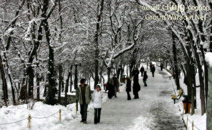 مناظر للطبيعة في مدينة بندر تركمن بــ ( إيــــران ) Iran13