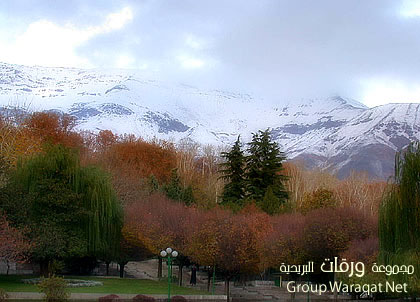 مناظر للطبيعة في مدينة بندر تركمن بــ ( إيــــران ) Iran15