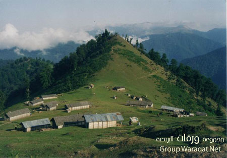 مناظر للطبيعة في مدينة بندر تركمن بــ ( إيــــران ) Iran21