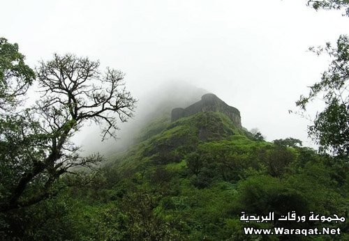 الصومال , لمن لم يرها من قبل Soomal6