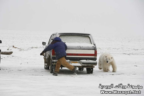 صايدك وين بتروح Broblem_doob1