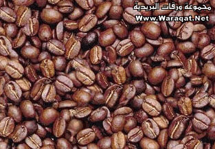 إبحث عن الرجل في الصورة Caffe1