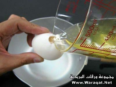 انتبهوا .. لاتسافر خادماتكم بالبيض Eggs3