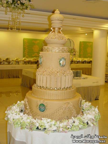 كيكات حلوة وعملاقة فن من الاخر Cakes_ceoot6