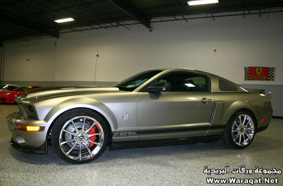 سيارة سوبر سنك 2009 SUPER_SNAKE5