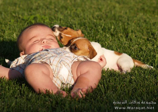 صداقة الأطفال مع الحيوانات 1beby_dog7
