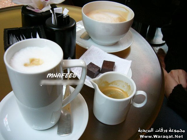 •₪• كـوفـي شــوب قــوتــشــي GUCCI Cafe •₪• GUCCI_Cafe4