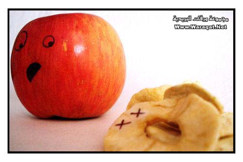 إبداع بالتفاح …!! Appel10