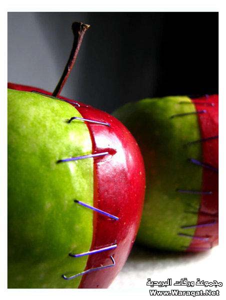 صور ابداع بالتفاح Appel15