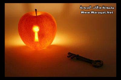 صور ابداع بالتفاح Appel16