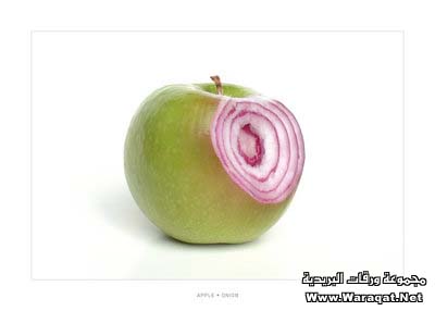 ابداع بالتفاح Appel7