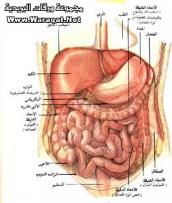 الإمساك!!!!!(1) Emsak2