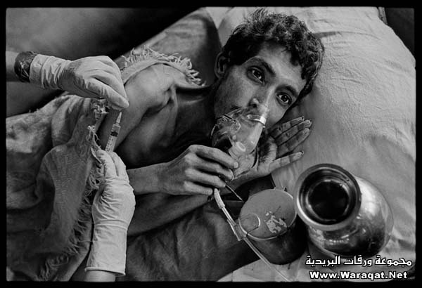 أفضل الصور الصحفية لعام 2008 Photographs2008-34