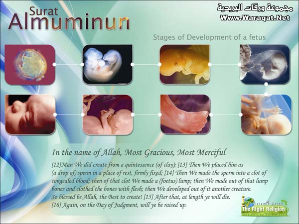 خلق الأنسان Al-Muminun