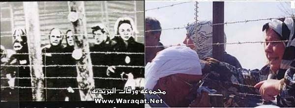 محرقه النازيه لليهود اكذوبة محرقه اليهودللفلسطينين Holocaust6