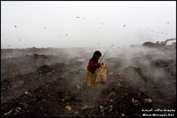 حصــ اطفال بنغلاديش ما دون 11سنه يعملون اعمال شاقة ـريا علي منتديات الونشريسي التعليمية Bangladesh-baby_5