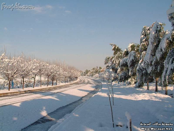 صور روعة من شمال العراق IRAQ_Beautiful10