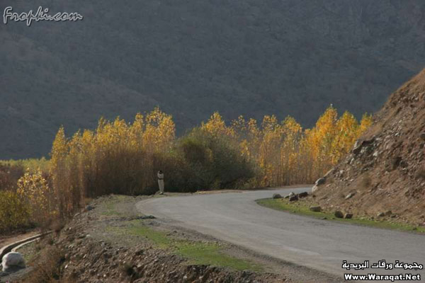 صور لمناطق السياحيه في وادي الرافدين العراق بكامرتي IRAQ_Beautiful12