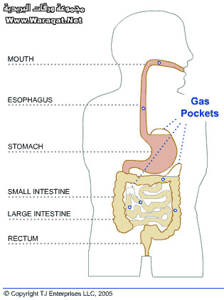 غازات البطن أسبابها وطرق الوقاية منها Me3dah_gas1