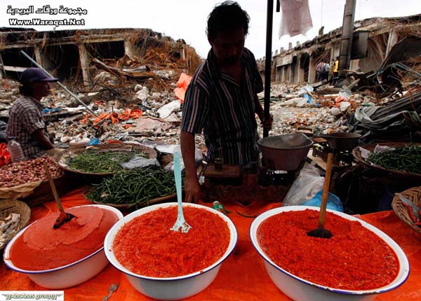 صور مؤلمة للدمار الذي خلفه زلزال اندونيسيا Indonesia-15