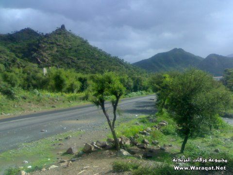 وادي الضباب – محافظة تعز اليمنية .. الطبيعة البكر والجمال ال Dhabab-valley12