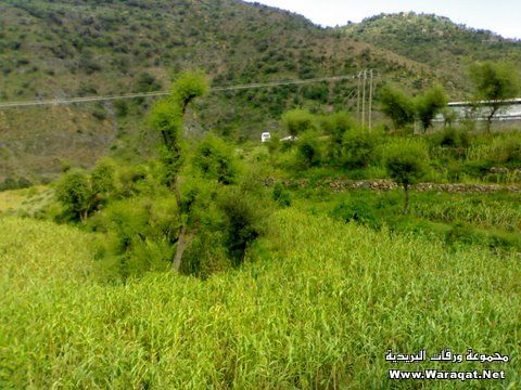 جنة عدن في اليمن Dhabab-valley128