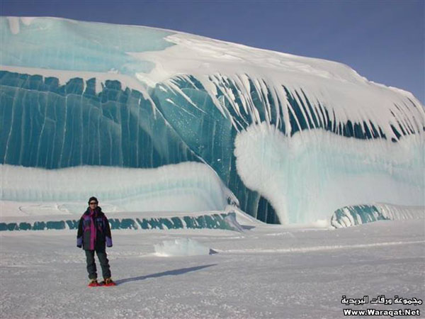 تيس الملكه غير + موضة جديدة لسيارة العرسان + الأذان على أعلى قمة في العالم‏ + جمال الثلج Freeze_4