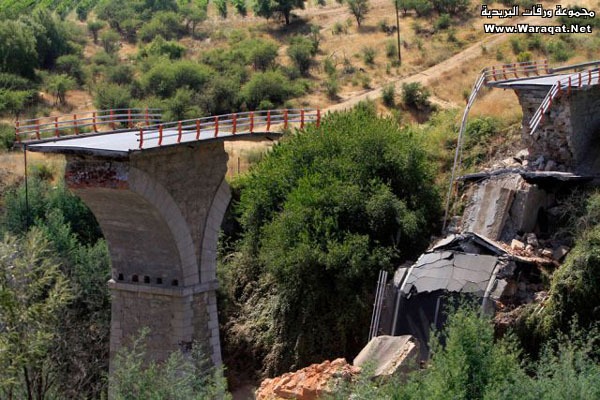 صور حديثة لـ : زلزال تشيلي Chile_Earthquake23